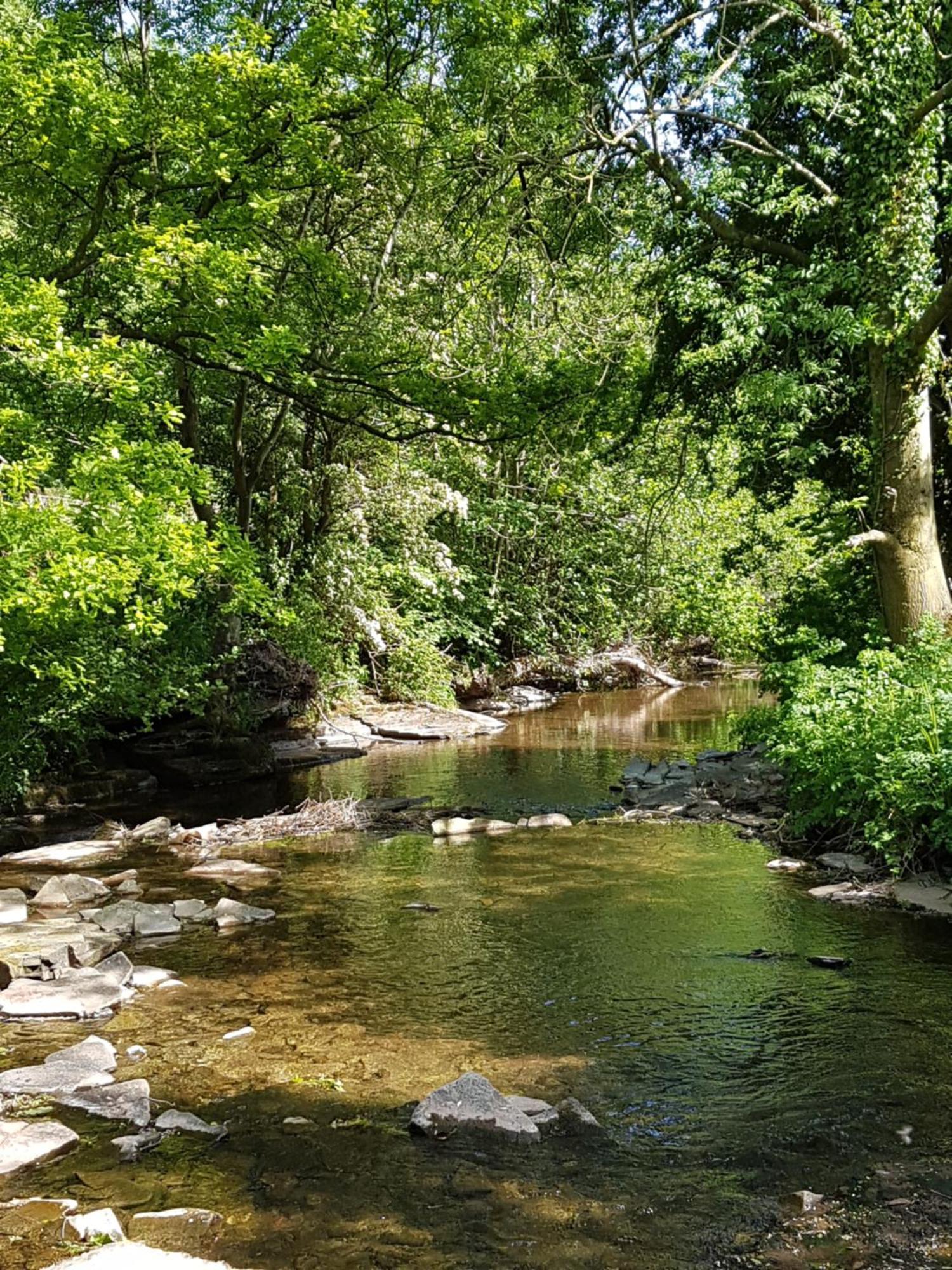 River Cottage@Cwm Mill - Riverside Family Holidays In The Black Mountains Hereford Dış mekan fotoğraf